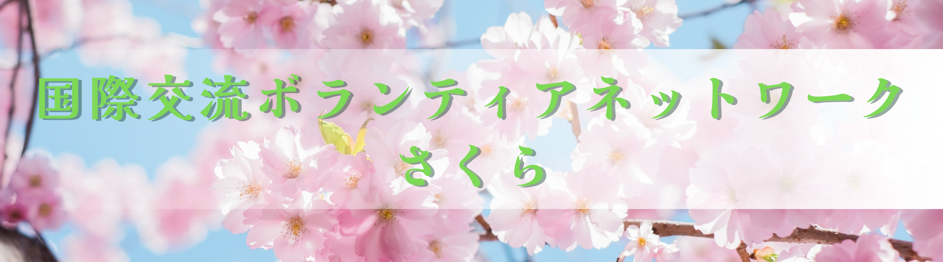 国際交流ボランティア ネットワークさくら
